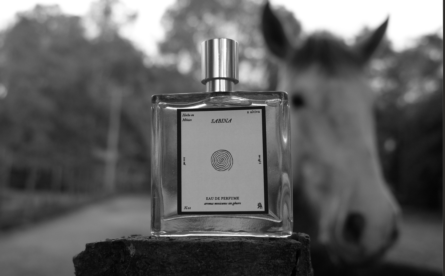Perfume Sabina N.1