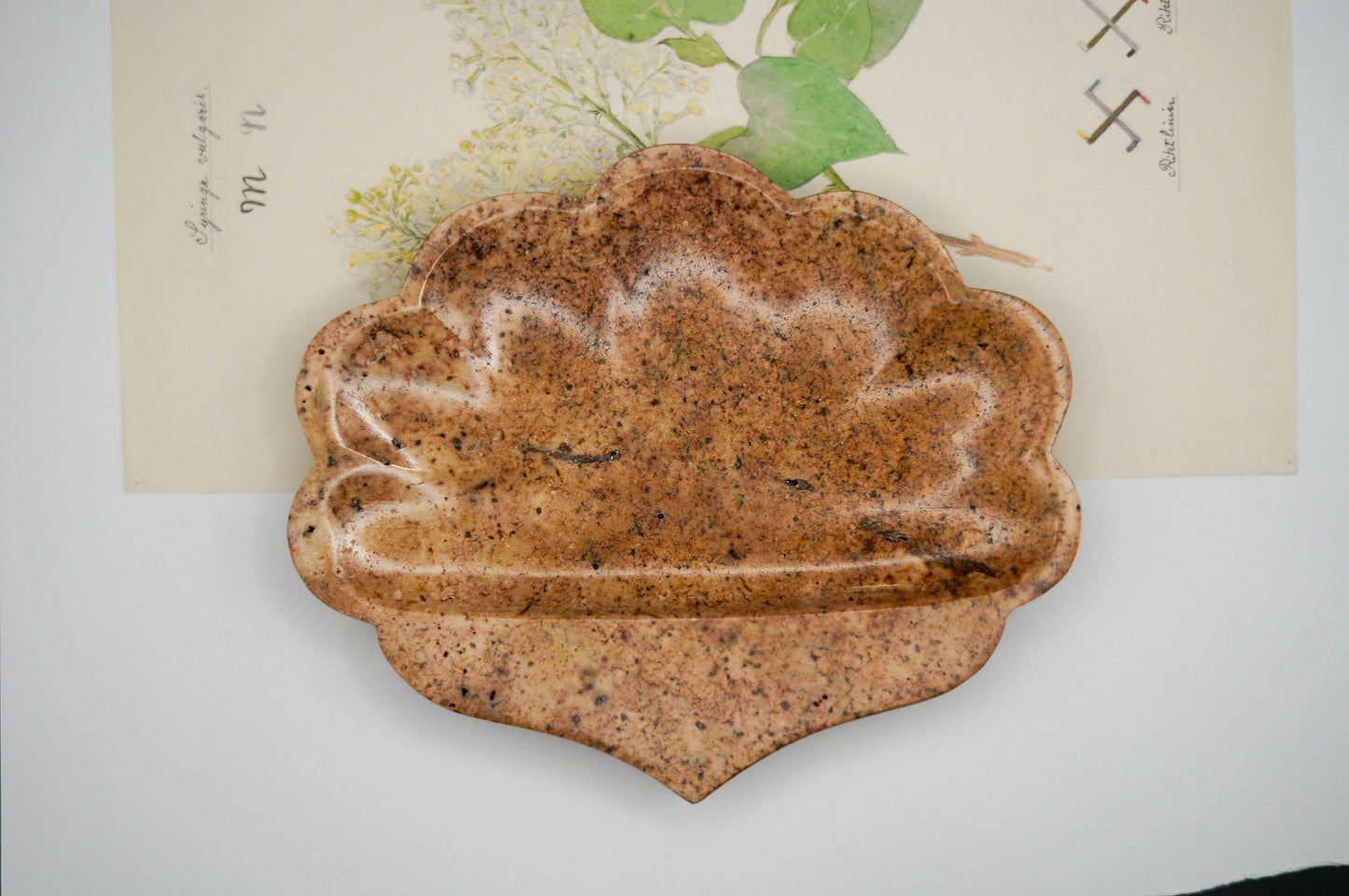 Jabonera Conchita onix/marmol